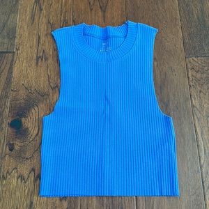 NWT Aerie Blue Cropped Tank